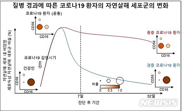 [대전=뉴시스] 코로나19 환자의 자연살해 세포군의 변화 분석. 코로나 환자에서 공통적으로 바이러스 감염 직후부터 비정형 자연살해 세포군이 빠르게 증가하는 것을 확인할 수 있다. 경증 보단 증중환자가 더 오래 지속된다.