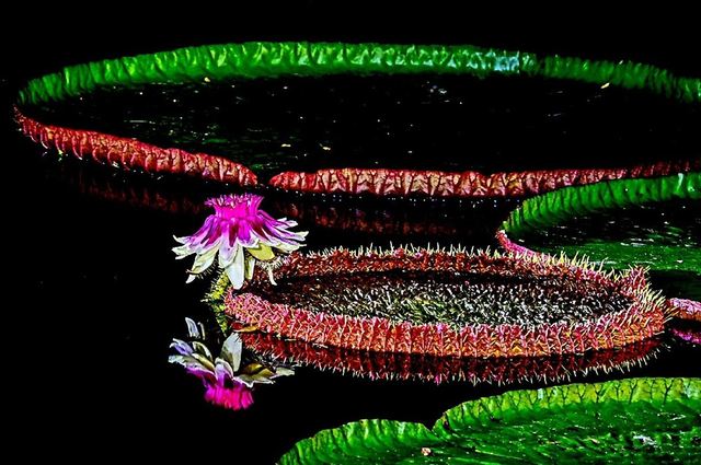 송해공원 *재판매 및 DB 금지