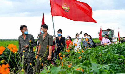 [서울=뉴시스] 사리원시 미곡협동농장 청년작업반원들. 2021.08.13. (사진=노동신문 캡처) *재판매 및 DB 금지