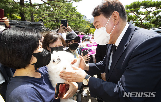 [서울=뉴시스] 국회사진기자단 = 국민의힘 대권주자인 윤석열 전 검찰총장이 15일 서울 용산 효창공원에서 한 지지자의 반려견을 만지고 있다. 2021.08.15. photo@newsis.com