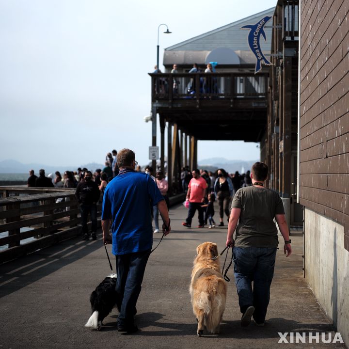 [ 샌프란시스코 = 신화/뉴시스] 2021년 8월 화물선 집단감염이 일어난 샌프란시스코 부두일대. 선원 가운데 19명이 코로나19 양성으로 확진된 뒤 6명이 병원에 입원했다.
