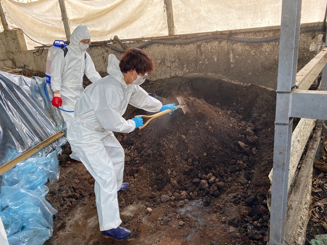 [안동=뉴시스] 경북도 보건환경연구원 직원이 커피박과 돈분을 섞고 있다. (사진=경북도 제공) 2021.12.22 *재판매 및 DB 금지