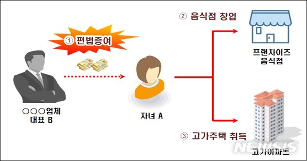 [세종=뉴시스] 국세청 세무 조사 대상에 포함된 A씨의 사례. (자료=국세청 제공)