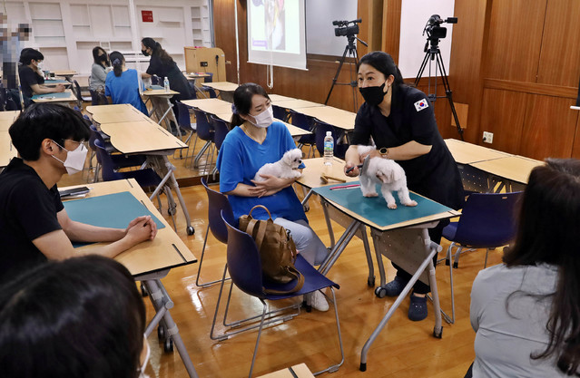 우리집 댕댕이 홈케어 특강 *재판매 및 DB 금지