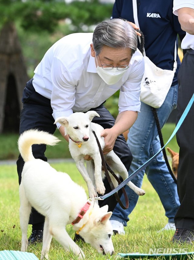 [고양=뉴시스] 국회사진기자단 = 더불어민주당 대권주자인 이재명 경기도지사가 20일 경기 고양 덕양구 농업기술센터 잔디밭에서 동물보호센터 보호견과 시간을 보내고 있다. 2021.08.20. photo@newsis.com