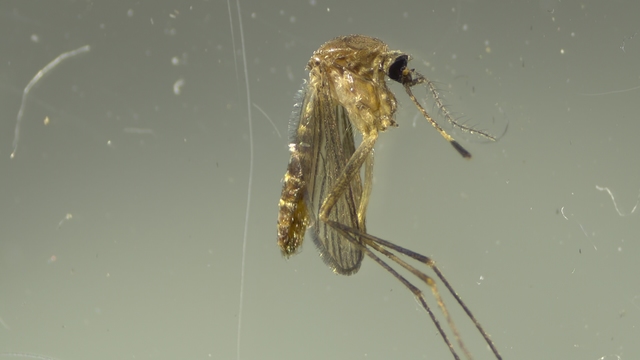 자료사진 *재판매 및 DB 금지