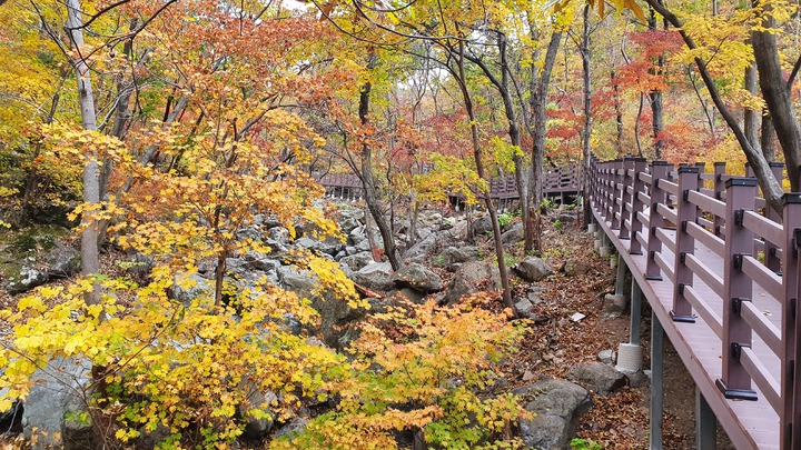 [안동=뉴시스] 포항 내연산 치유의 숲. (사진=경북도 제공) 2021.08.30 *재판매 및 DB 금지