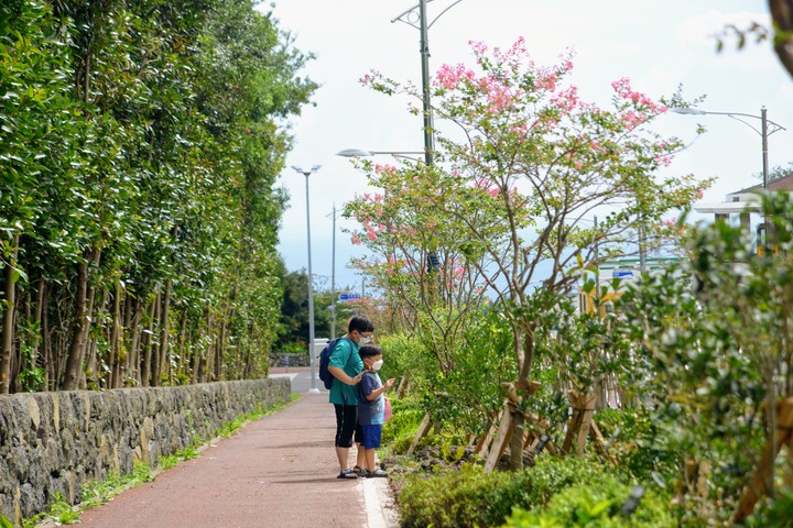 [서귀포=뉴시스] 새서귀초등학교 인은 어린이 보호구역 제1호 그린숲. (사진=서귀포시 제공) *재판매 및 DB 금지