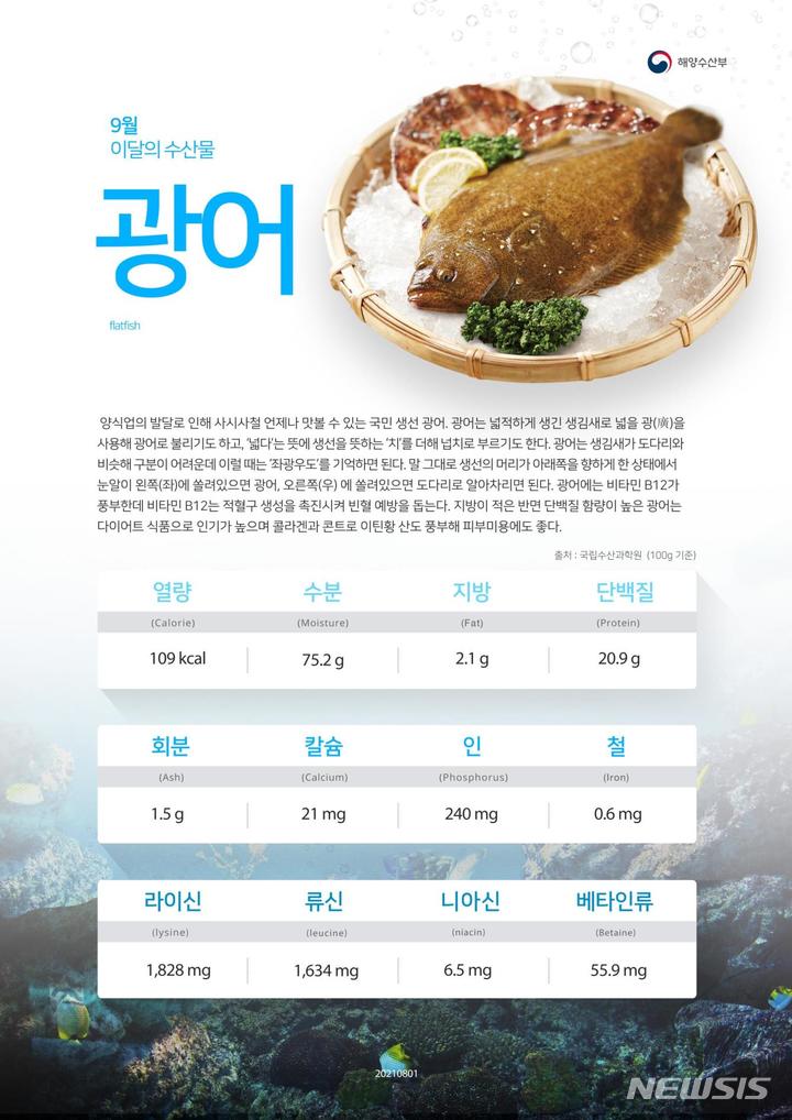 [서울=뉴시스] 자료 해양수산부 