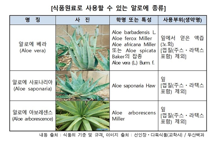 식품 원료로 사용할 수 있는 알로에 종류. (사진/한국소비자원 제공) photo@newsis.com&nbsp; *재판매 및 DB 금지