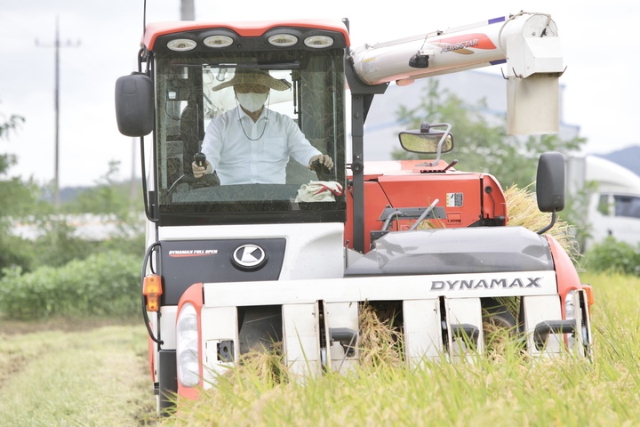 [천안 소식]천안서 올해 ‘첫 벼 베기'…햅쌀 출하 시작&nbsp; 