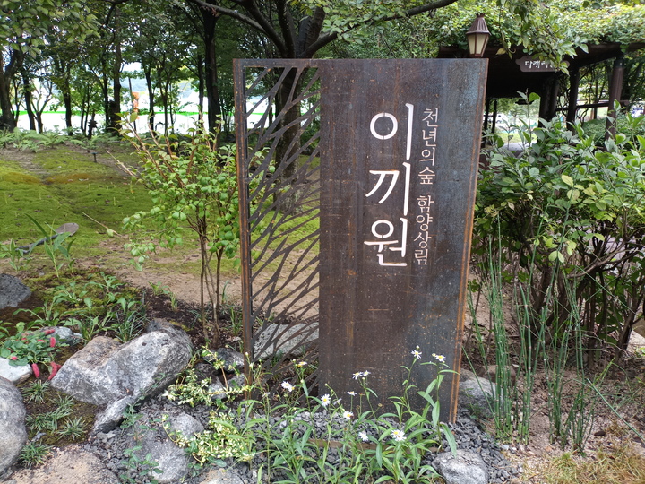 [함양=뉴시스] 함양 상림 '이끼원'. *재판매 및 DB 금지