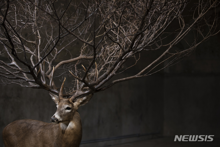 [서울=뉴시스] 원, 김명범 작, 2021년, 스테인리스 스틸과 혼합재료, 370×510×380㎝ (사진=문화재청 제공) 2021.09.09. photo@newsis.com