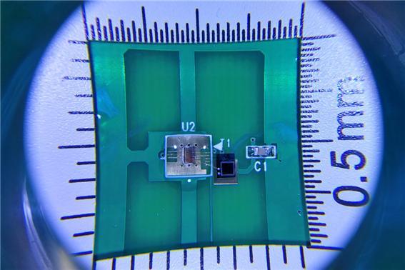 [대전=뉴시스] 원자력연-ETRI가 협업해 탄생한 1.5㎜ 크기의 베타 양자난수발생기 집적회로 시제품. *재판매 및 DB 금지