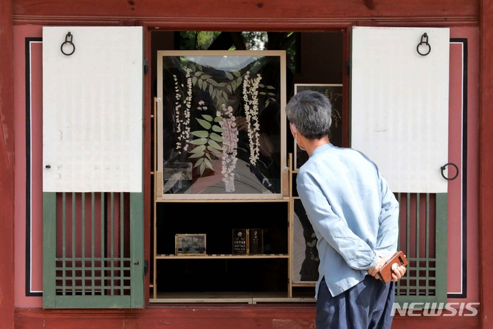 [서울=뉴시스] 박진희 기자 = 신혜우 작가의 '면면상처: 식물학자의 시선'. 
