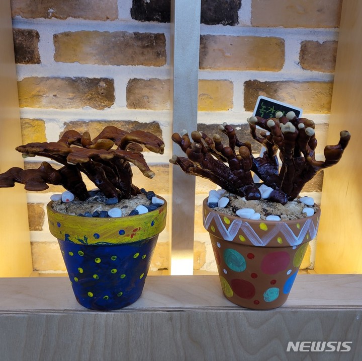 [용인=뉴시스]녹각영지버섯