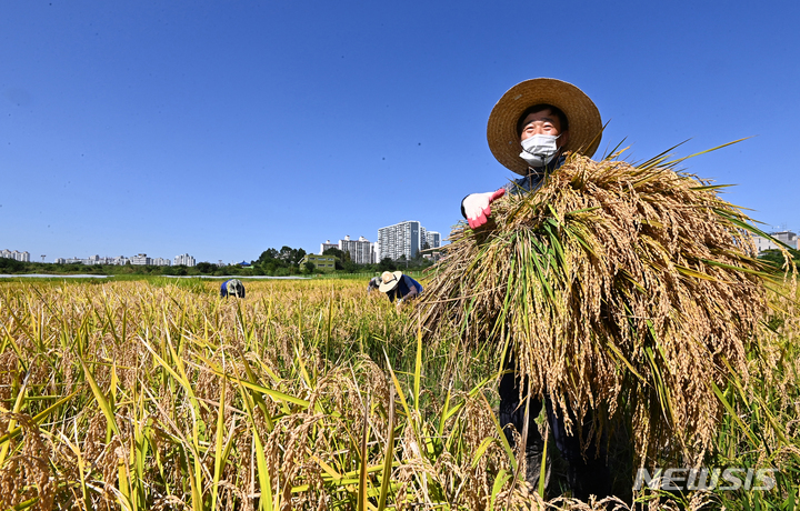 [수원=뉴시스] 김종택기자 = 청명한 날씨를 보인 14일 오후 경기도 수원시 농촌진흥청 국립식량과학원 작물연구동에서 관계자들이 수확한 벼를 살펴보고 있다. 2021.09.14. jtk@newsis.com