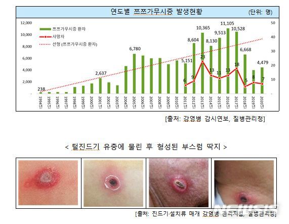 [세종=뉴시스] 연도별 쯔쯔가무시증 발생 현황(上) 및 진드기 물림 현상(下). (자료= 행정안전부 제공) 2021.09.16. 