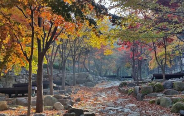 비슬산 자연휴양림 가을 풍경 *재판매 및 DB 금지