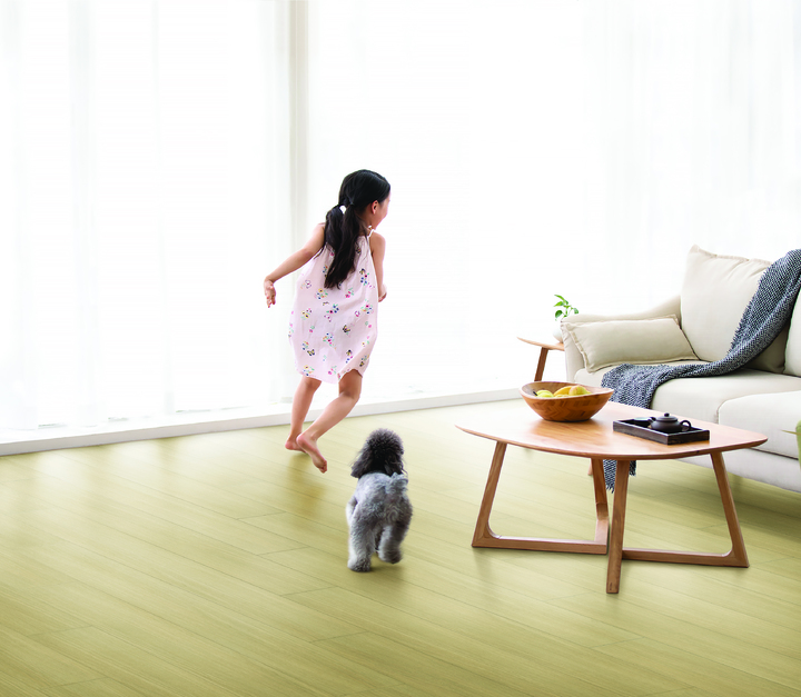 반려동물 1500만 시대…펫 전용 마루 나왔다