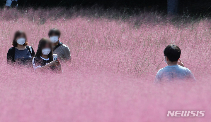 [서울=뉴시스] 권창회 기자 = 완연한 가을날씨를 보인 지난 26일 오후 서울 송파구 올림픽공원 내 핑크뮬리 군락지에서 시민들이 기념사진을 찍고 있다. 이날 코로나19 신규 확진자는 2,771명으로 역대 두 번째 최다 규모를 기록했다. 2021.09.26. kch0523@newsis.com