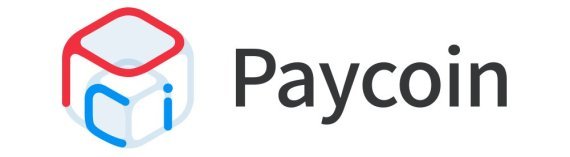 시총 1600억원 '페이코인' 위기?...쟁점은 무엇 