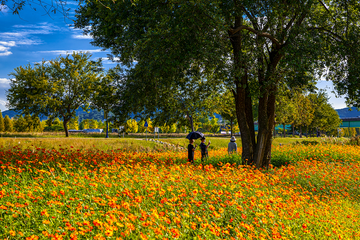 전북 낮 26~29도 '맑음'…일교차 커 옷차림 신경써야
