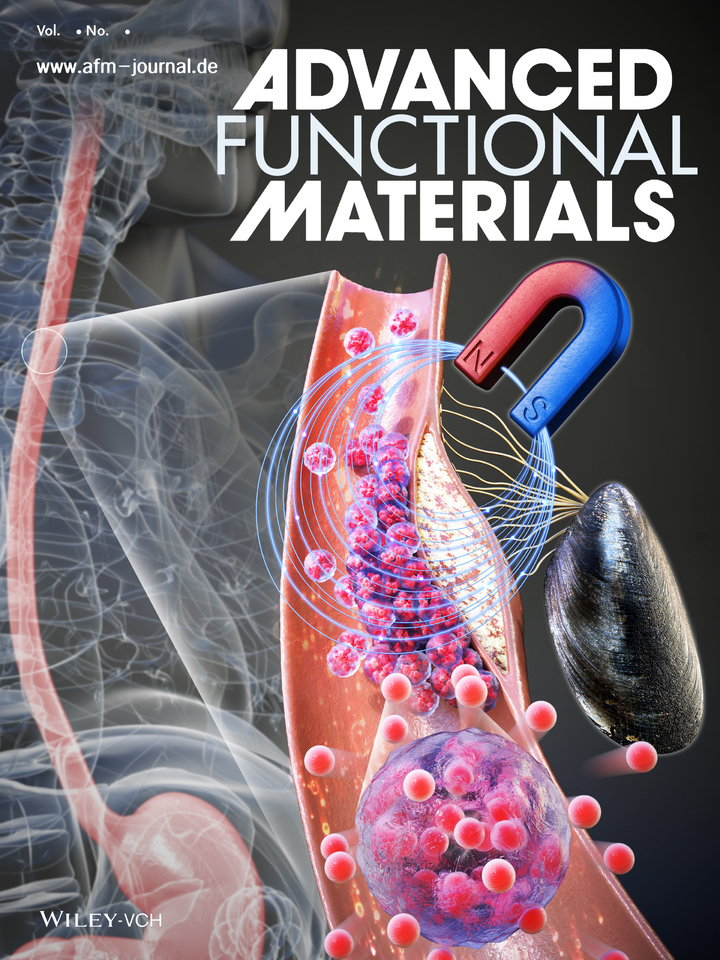 경북대·포스텍 공동연구팀, 자기장으로 움직이는 접착성 마이크로입자 개발 *재판매 및 DB 금지