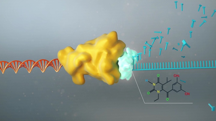 [대전=뉴시스] 역전사 효소 기능을 막는 치료제의 역할. *재판매 및 DB 금지