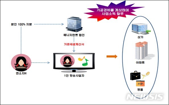 [세종=뉴시스] 탈세 혐의가 적발된 1인 방송 진행자 B씨의 사례. (자료=국세청 제공)