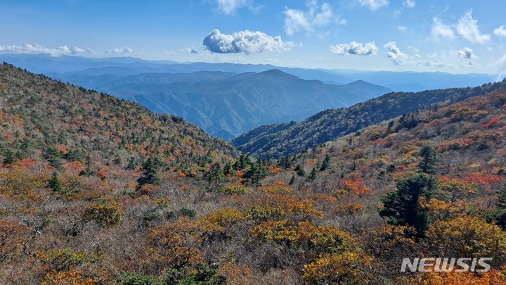 [서울=뉴시스]기상청은 설악산에서 올해 첫 단풍이 관측됐다고 30일 밝혔다.2021.09.30.(사진=기상청 제공)photo@newsis.com
