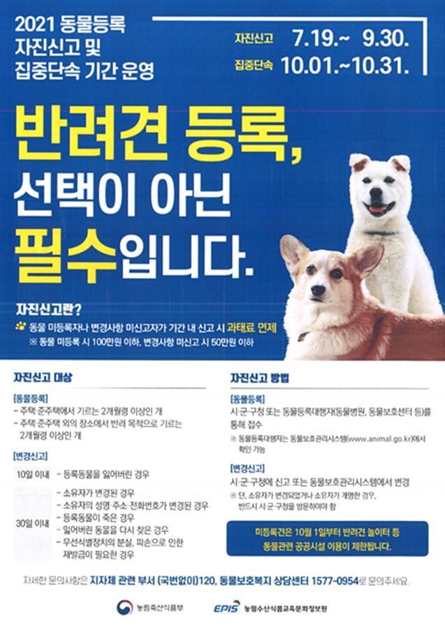 반려견 등록 포스터. *재판매 및 DB 금지