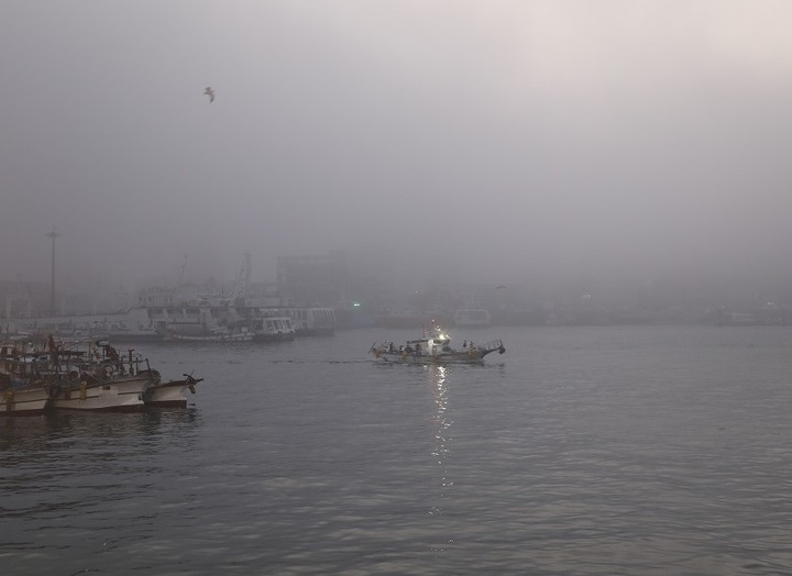 게릴라성 바다안개. (사진=목포해경 제공) *재판매 및 DB 금지