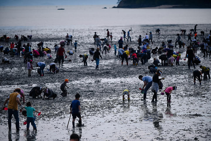 전남 여수시 여자만의 갯벌.(사진=여수시청 제공) *재판매 및 DB 금지