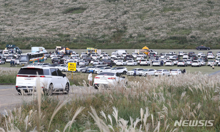 [제주=뉴시스] 우장호 기자 = 찬 이슬이 맺히기 시작한다는 절기상 한로(寒露)인 지난 8일 가을 억새로 유명한 제주시 애월읍 봉성리 새별오름 내 주차장이 차량으로 가득 차 있다. 2021.10.08. woo1223@newsis.com