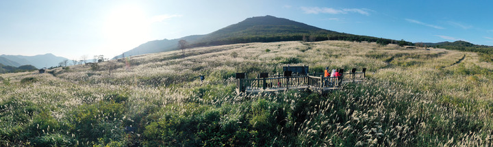 [밀양=뉴시스] 안지율 기자 = 경남 밀양시는 10일 밀양 8경 중 하나인 재약산 사자평 억새평원의 가을 억새가 만발해 등산객들의 눈길을 사로잡고 있다.사진은 재약산 사자평 전경(사진=밀양시 제공) 2021.10.10. photo@newsis.com *재판매 및 DB 금지