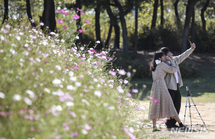 [인천=뉴시스] 정병혁 기자 = 맑은 날씨를 보인 13일 오후 인천 중구 하늘정원을 찾은 시민들이 코스모스 밭을&nbsp; 거닐며 가을 정취를 느끼고 있다. 2021.10.13. jhope@newsis.com