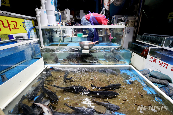 기사 중 특정 내용과 무관. 뉴시스DB