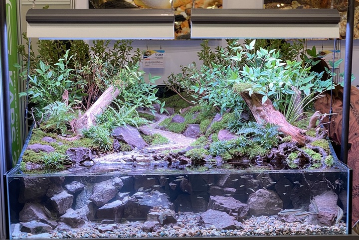 [안동=뉴시스] 지난 8일부터 10일까지 3일간 경기도 고양시 킨텍스에서 열린 제6회 한국관상어산업박람회에서 경북도 토속어류산업화센터가 전시한 팔루다리움. (사진=경북도 제공) 2021.10.14 *재판매 및 DB 금지