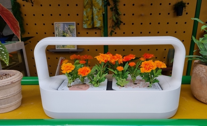 [서울=뉴시스] LG 틔운 미니.