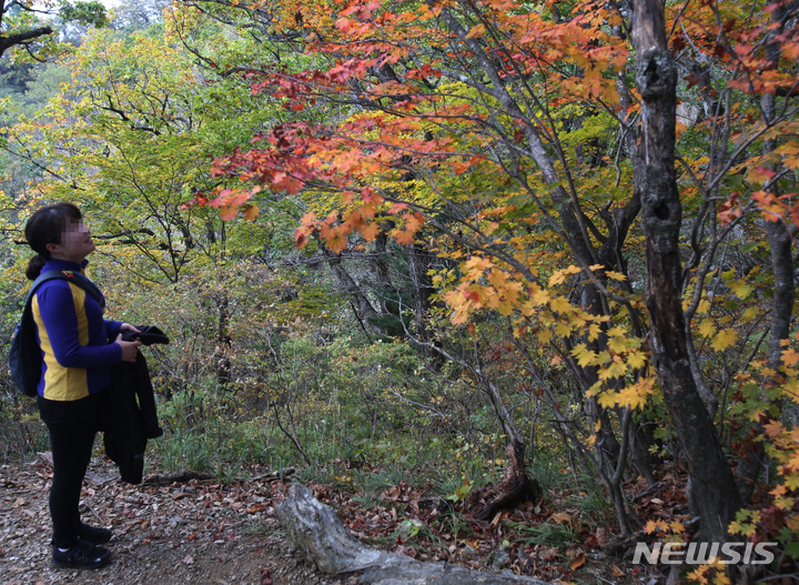 [양양=뉴시스] 김경목 기자 = 지난 14일 오후 등산객이 강원도 양양군 설악산 국립공원 남설악 코스에서 단풍나무 앞에서 단풍을 바라보고 있다. 2021.10.14. photo31@newsis.com