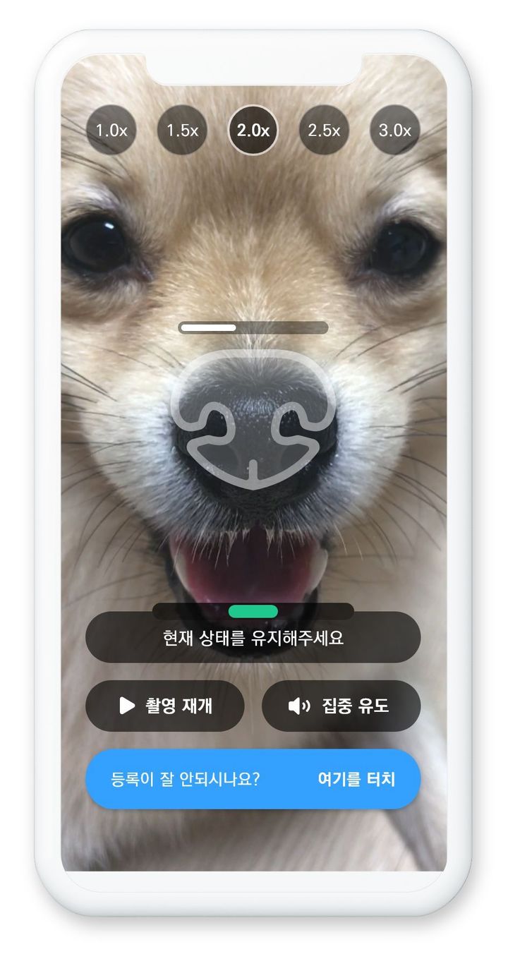 [울산=뉴시스] 반려동물 생체인식 자료화면 (UNIST 제공) *재판매 및 DB 금지