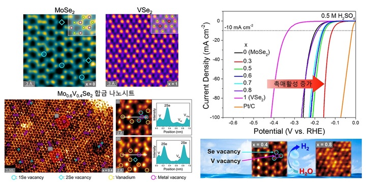[서울=뉴시스] (사진=고려대 제공) *재판매 및 DB 금지