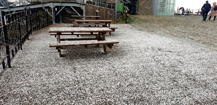 [평창=뉴시스] 김경목 기자 = 19일 오후 관광객들이 강원도 평창군 발왕산에서 올 가을 첫눈을 맞으며 즐거운 한때를 보내고 있다. (사진=용평 리조트 제공) 2021.10.19. photo@newsis.com *재판매 및 DB 금지