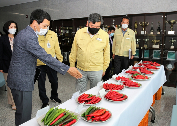 지난해 태안군 고추 시범사업 평가회에 참석한 가세로 군수.(사진=태안군청 제공) *재판매 및 DB 금지