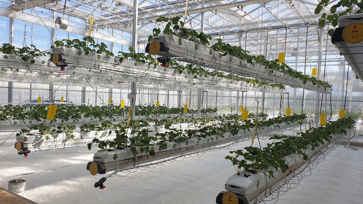 충남 천안시농업기술센터에 마련된 스마트팜 교육장. (사진=천안시 제공) *재판매 및 DB 금지