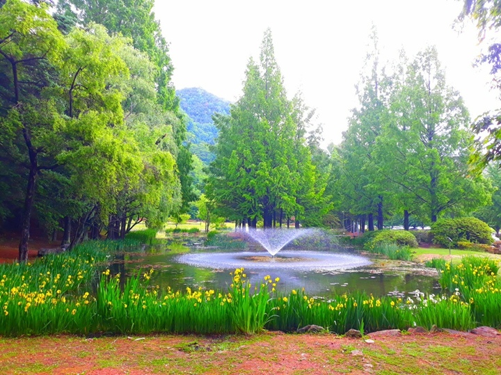  낙강물길공원 봄 전경 (사진= K-water 안동권지사 제공) *재판매 및 DB 금지