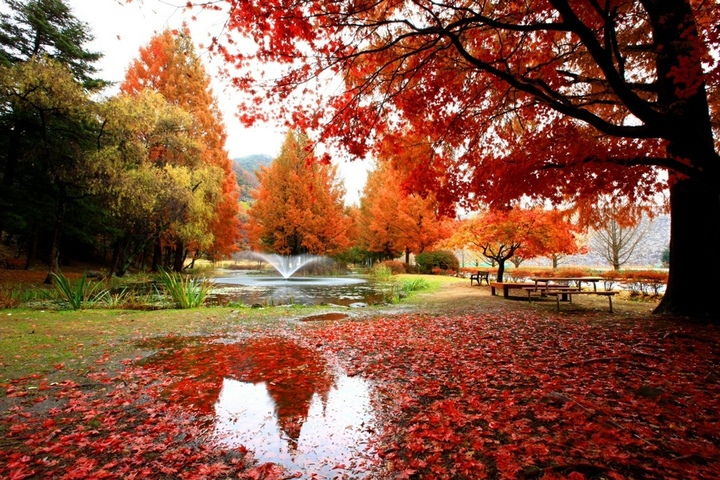 낙강물길공원 가을 전경 (사진= K-water 안동권지사 제공) *재판매 및 DB 금지