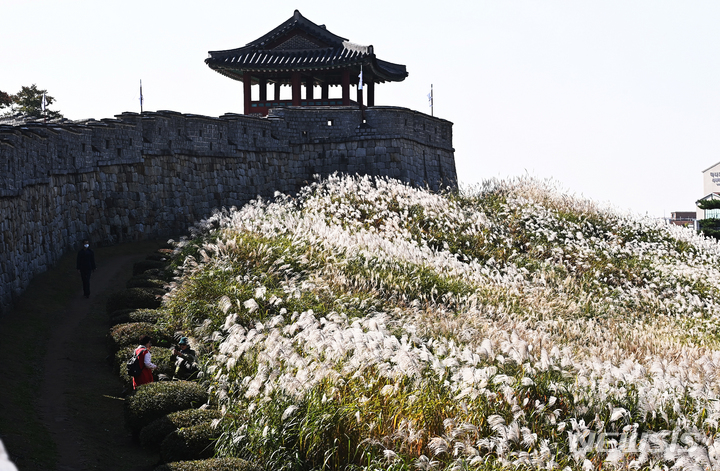 [수원=뉴시스] 김종택기자 = 절기상 상강을 하루 앞둔 지난 22일 경기도 수원시 팔달구 화서공원을 찾은 시민들이 은빛 물결이 출렁이는 억새길을 걸으며 가을 정취를 느끼고 있다. 2021.10.22. jtk@newsis.com