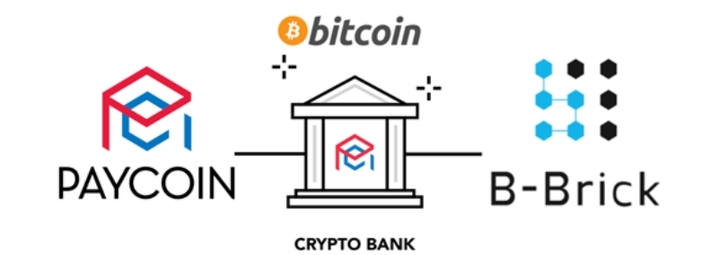 페이코인, 내년 상반기 비트코인 투자 서비스 출시 예정